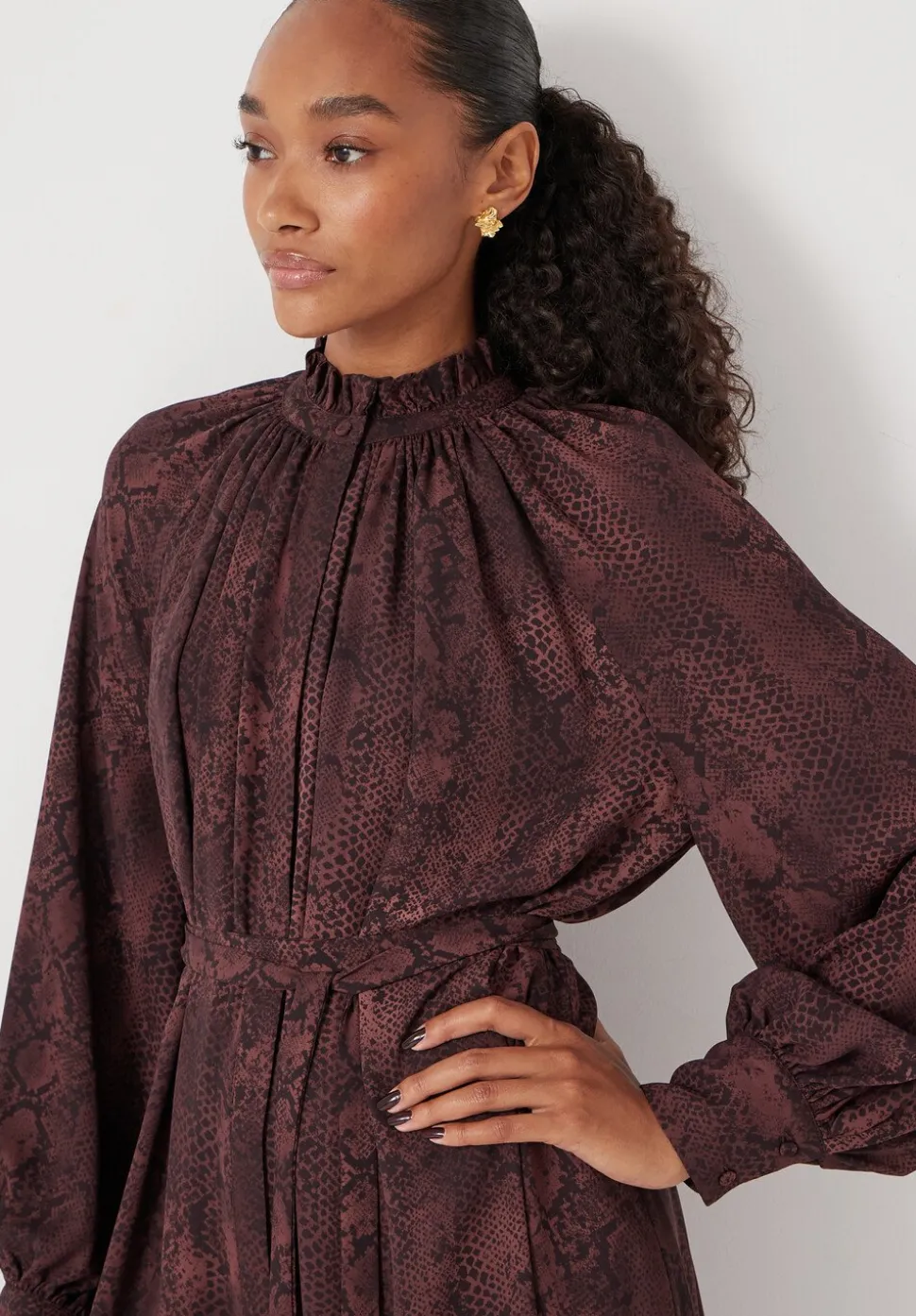 Printed Chiffon Mini Dress