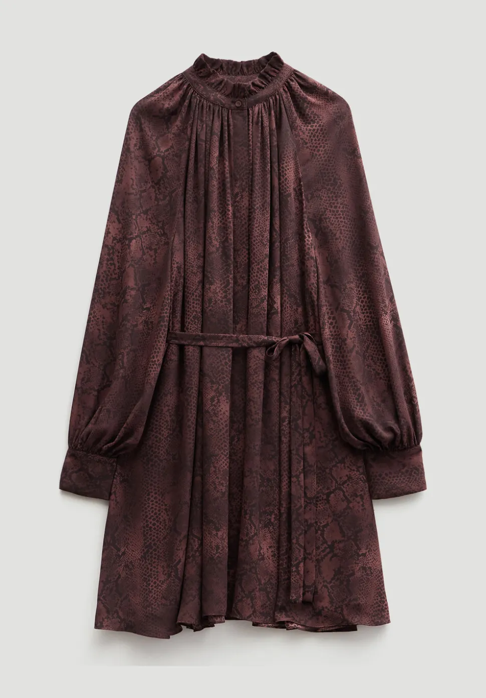 Printed Chiffon Mini Dress
