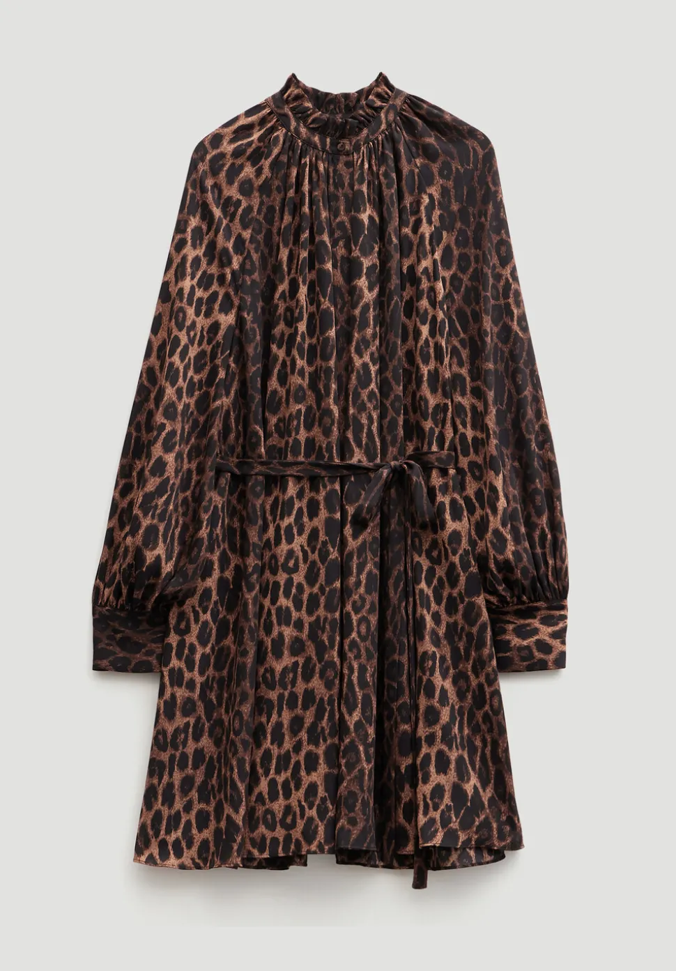 Printed Chiffon Mini Dress